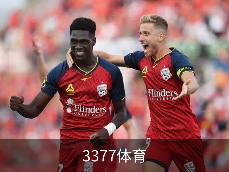 3377体育品牌故事